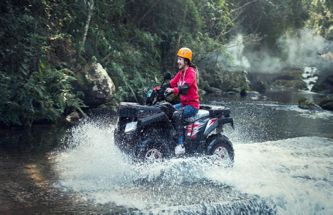 Quad Adventure and Monkey Forest - Full-Day Tour with Lunch - Photo 1